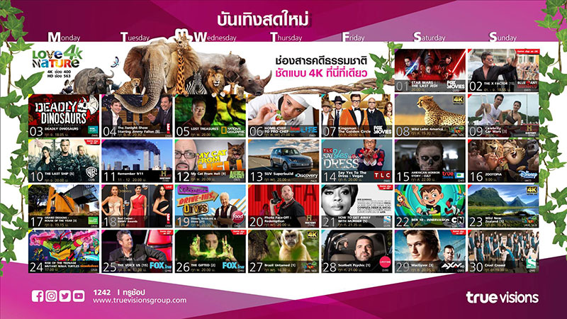 OTT เดิมพันครั้งใหม่ “ทรูวิชั่นส์” พลิกกลยุทธ์สร้างรายได้โตคู่เพลย์ทีวี