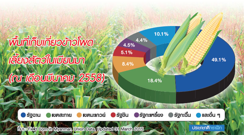 เปิดผลวิจัยลึก MBI 8 บ.ยึด “เมียนมา” ฐานส่งออกอาหารสัตว์ บทพิสูจน์มลพิษภาคเหนือ-รัฐฉาน