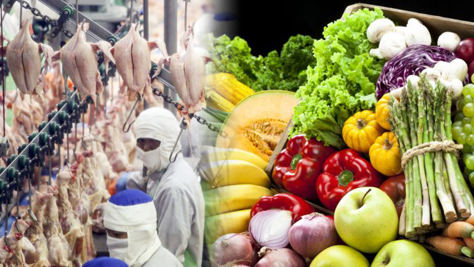 New Food Warrior สู้ด้วยเทคโนโลยีและนวัตกรรม