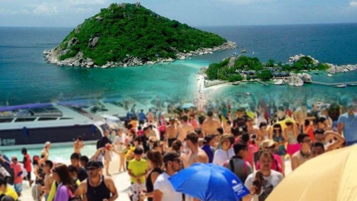 ภป-ท่องเที่ยวแม่ห่านทองคำ-728x410