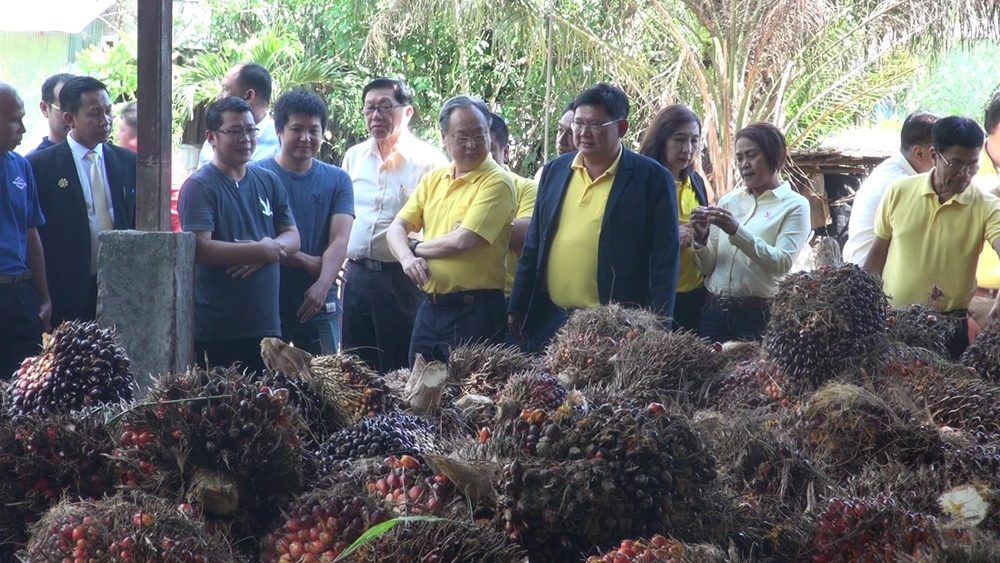 ‘สนธิรัตน์’ ลงพื้นที่สงขลา หาแนวทางช่วยชาวสวนปาล์ม หลังราคาตก
