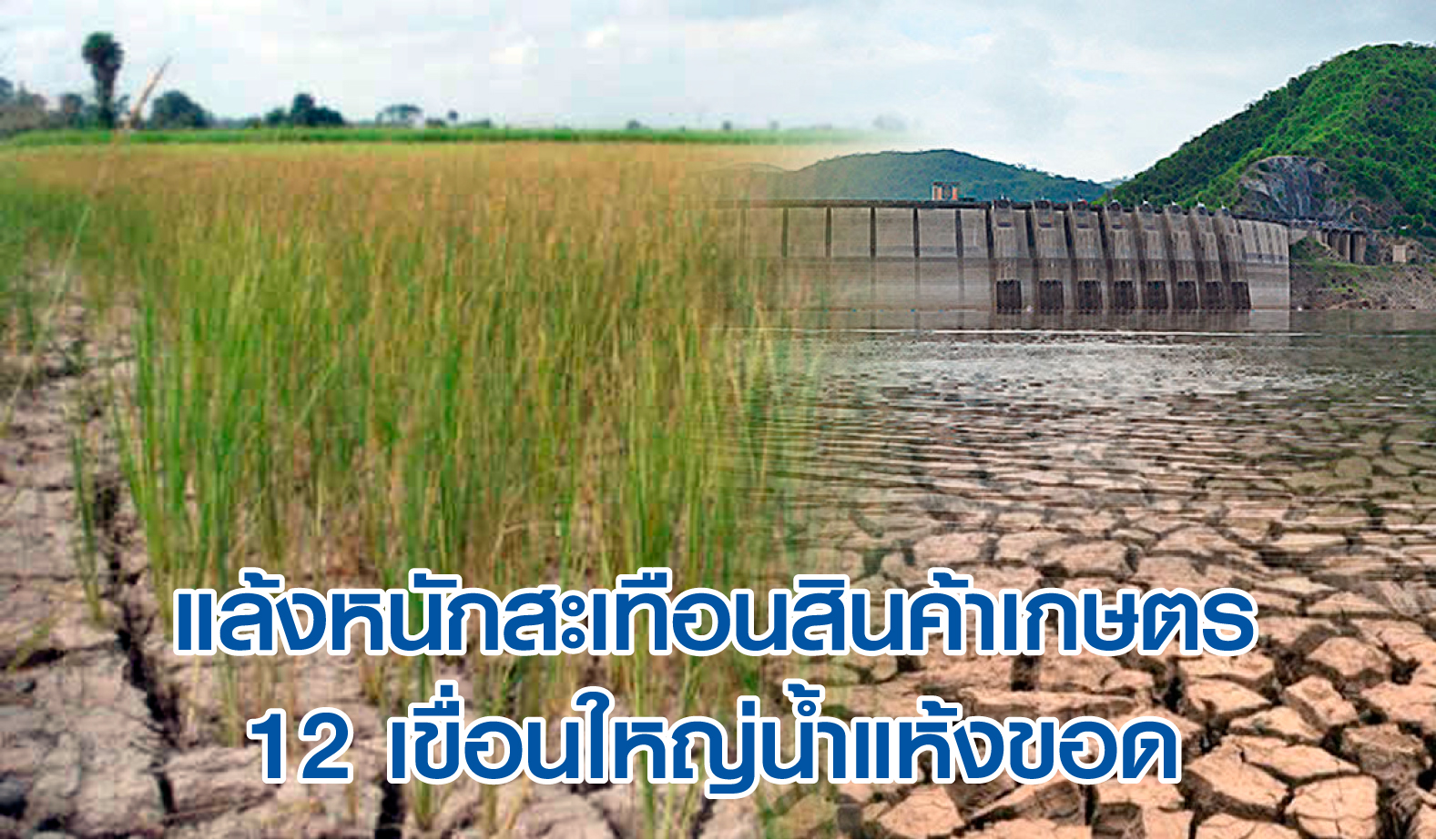 แล้งหนักสะเทือนสินค้าเกษตร ฝนน้อยข้ามปี-เขื่อนใหญ่น้ำแห้งขอด