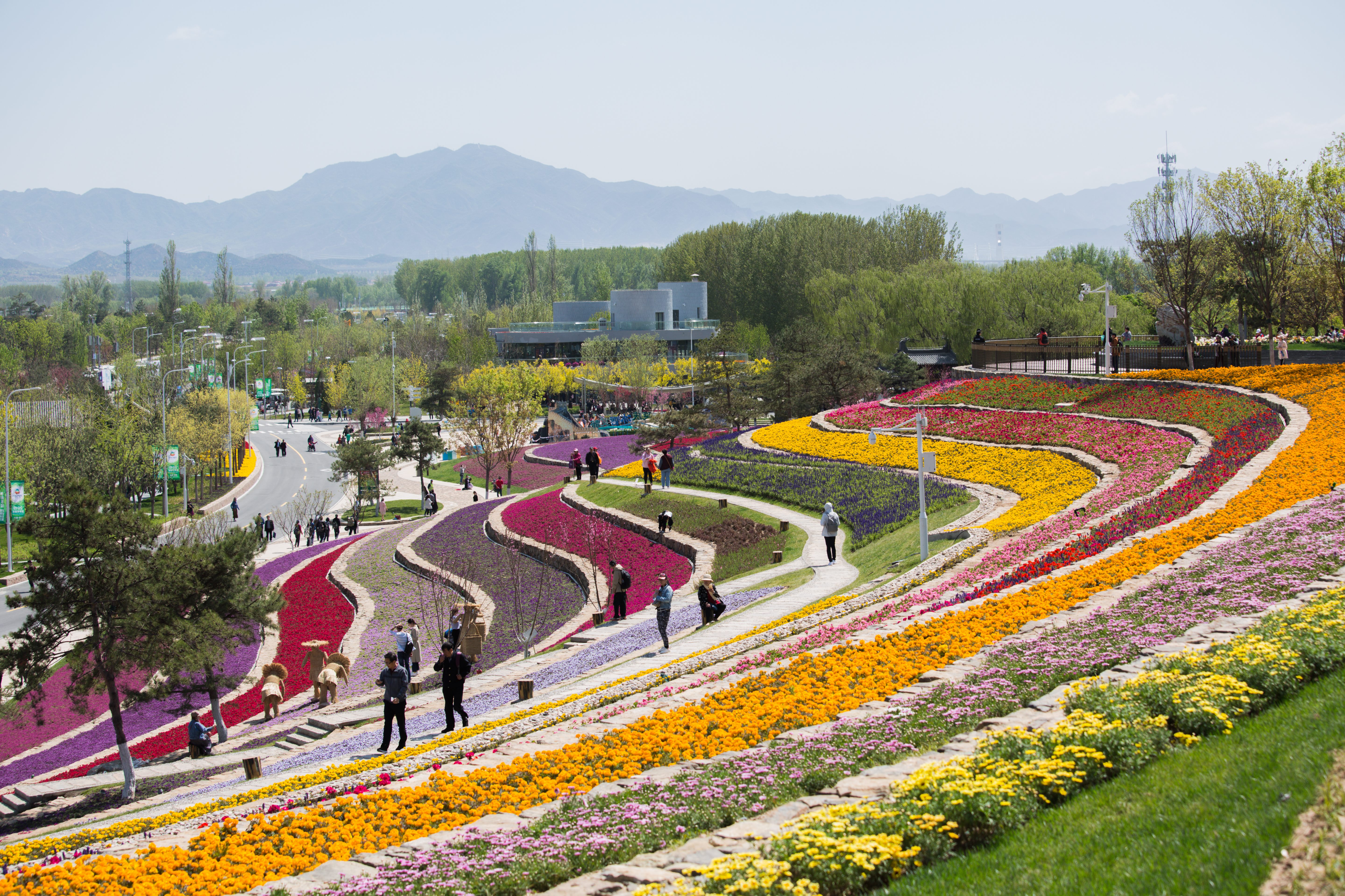 ภาพชุด: The International Horticultural Exhibition 2019: Beijing Expo 2019