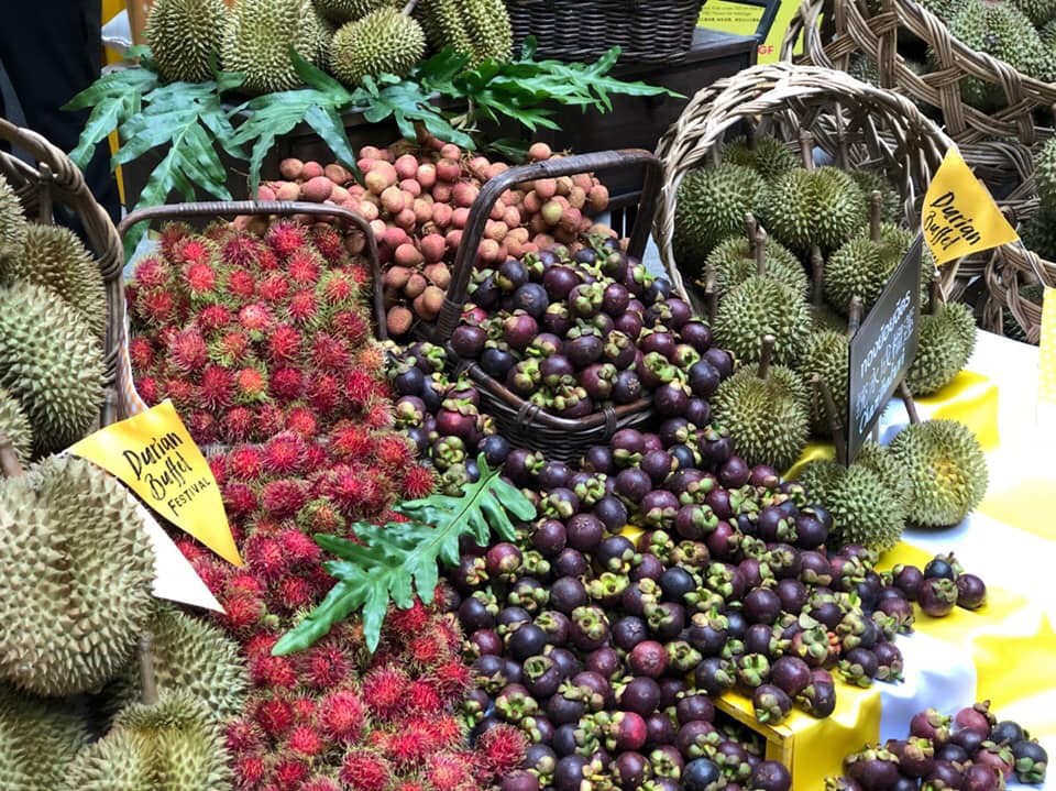 สินค้าเกษตรไทยยังเนื้อหอม! มกอช.เร่งออกมาตรฐานดันส่งออก ชี้ปีทอง’ทุเรียน’