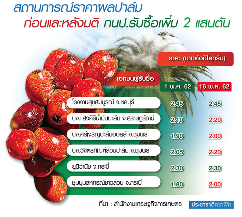 กฟผ.อุ้ม CPO 2 แสนตัน ดันราคาปาล์มขยับ กก.ละ 10 สต.