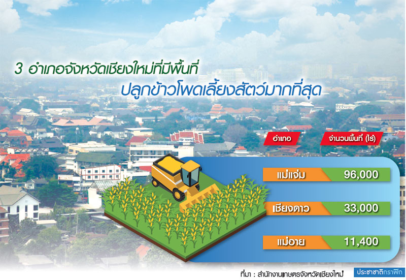 เชียงใหม่ไม่พ้นวิกฤตควันพิษ 25 อำเภอเผาพื้นที่เกษตรอีกหลายพันไร่