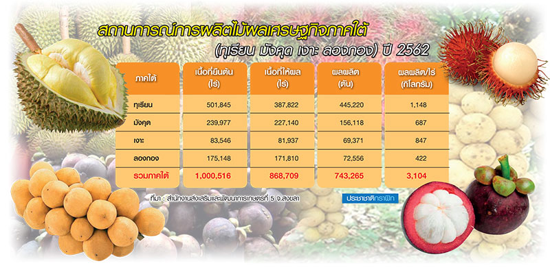 14 จว.ใต้รับมือทุเรียน-มังคุดพุ่ง 40% ไม่หวั่นราคาดิ่ง-จีนพลิกทำตลาดรับซื้อเกรดรอง