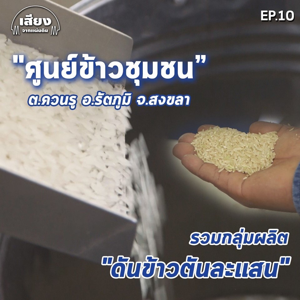 สารคดีเสียงจากแผ่นดิน Ss.5-EP.10 “ศูนย์ข้าวชุมชน” ต.ควนรู อ.รัตภูมิ จ.สงขลา รวมกลุ่มผลิตหวัง ดันข้าวตันละแสน”