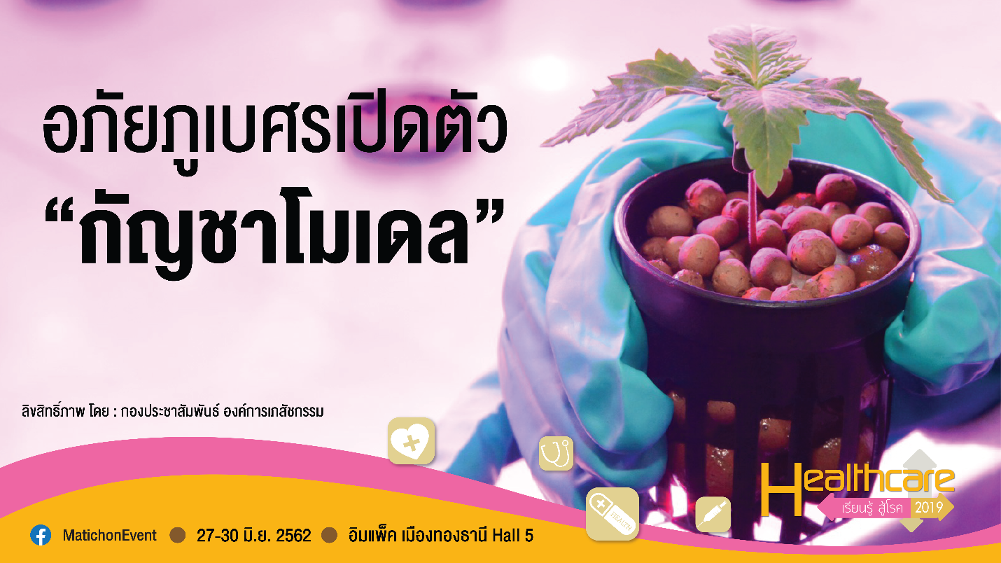 อภัยภูเบศรเปิดตัว “กัญชาโมเดล” พร้อมส่งต่อความรู้สู่งาน Healthcare 2019
