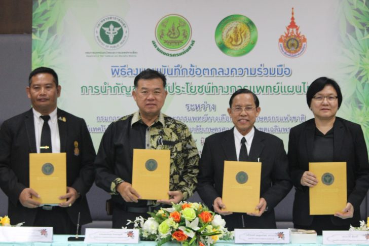 กรมแพทย์แผนไทยฯเอ็มโอยู 3 หน่วยงาน นำร่องปลูก ‘กัญชา’ 4 ภาค ส่งผลผลิตปรุง16ตำรับยาไทย