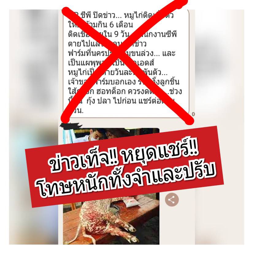 เตือนคนแชร์ข่าวลวงหมูไก่เป็นเอดส์ ระวังโทษหนักทั้งคุก 2 ปี ปรับ 1 แสนบาท