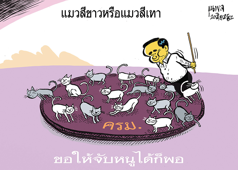 การ์ตูนขุนพล : แมวสีขาวหรือแมวสีเทา ขอให้จับหนูได้ก็พอ