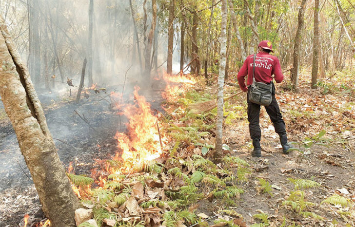 phu04060662p1