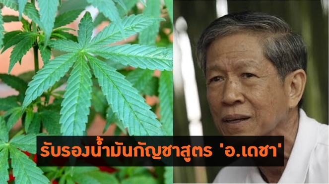 กรมการแพทย์ฯ รับรองแล้วน้ำมันกัญชาสูตร ‘อ.เดชา’