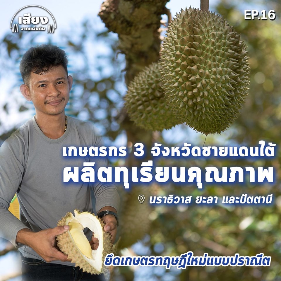 สารคดีเสียงจากแผ่นดิน#5-EP.16 : 3 จังหวัดชายแดนใต้ ยะลา นราธิวาส และปัตตานี ลุยผลิตทุเรียนคุณภาพ