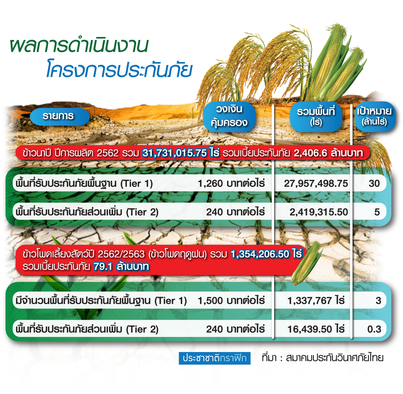 พิษแล้งแห่เคลมประกันภัยนาปีทะลุ100%