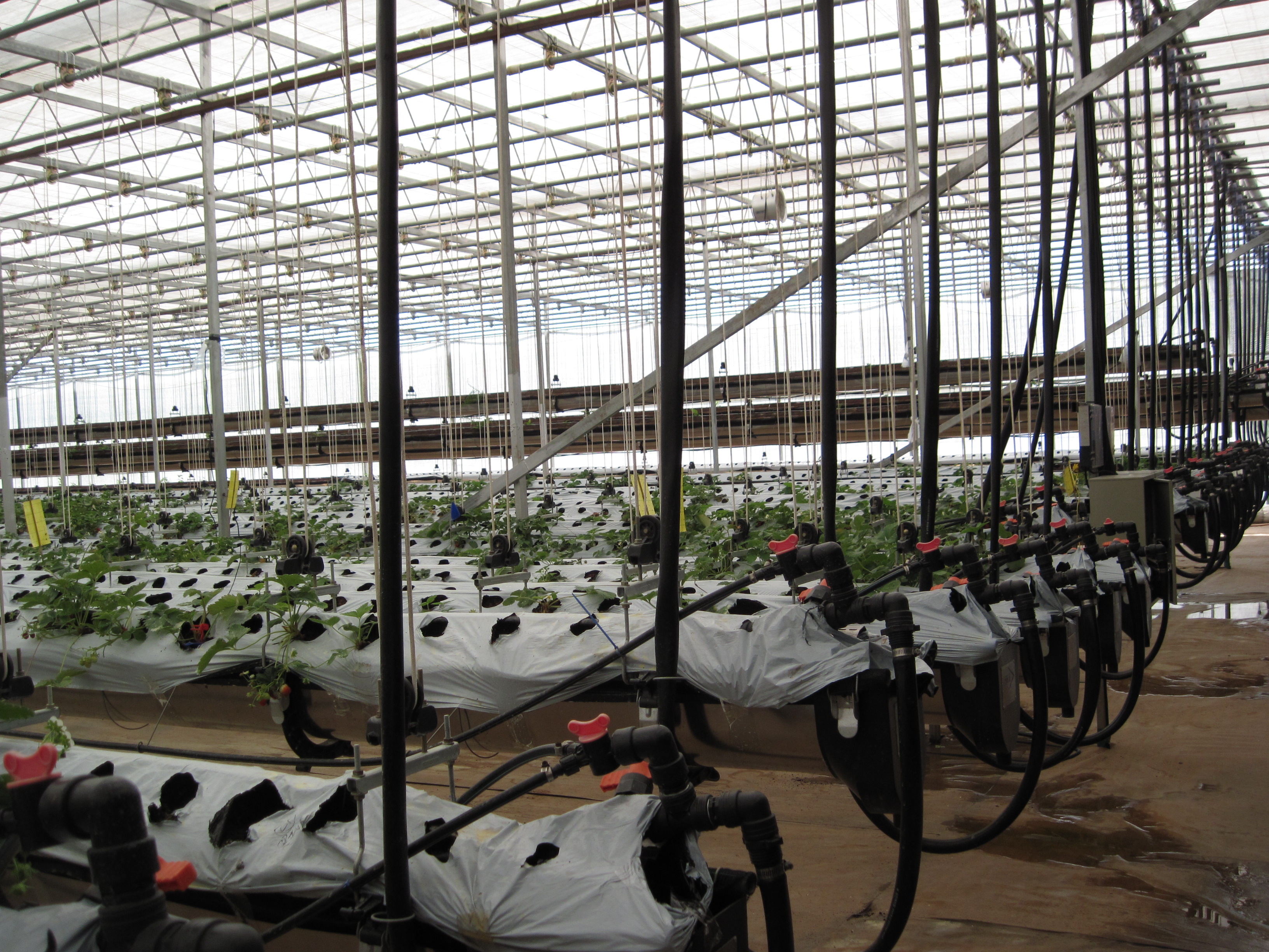 ส่องเทรนด์ AgTech ต่อยอดศักยภาพเกษตรกรไทย