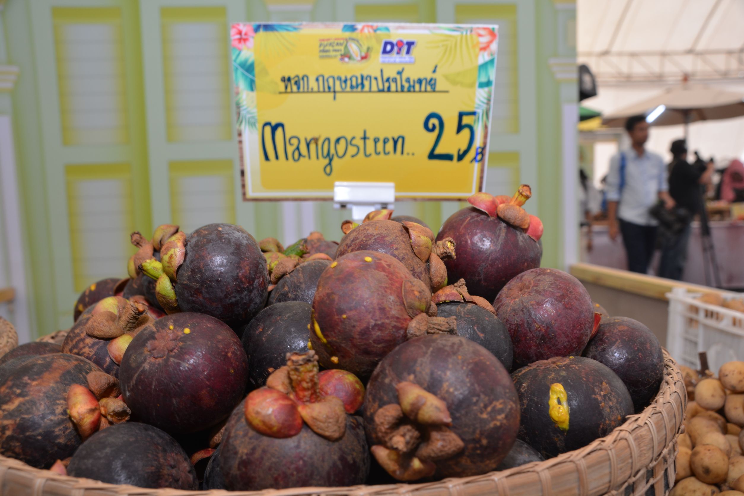 พาณิชย์ใช้โอกาสวันมหามงคล “วันแม่” จัดกิจกรรมจำหน่ายผลไม้ สร้างรายได้ให้เกษตรกร