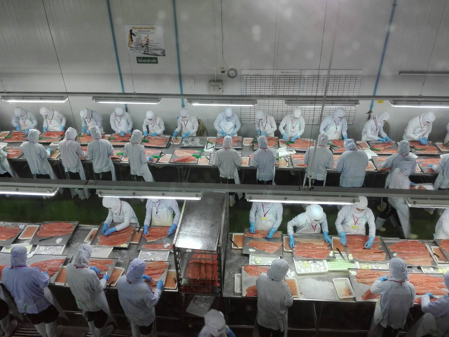 จี้รัฐเร่ง FTA-EU ครึ่งทางส่งออกทูน่าฉลุย