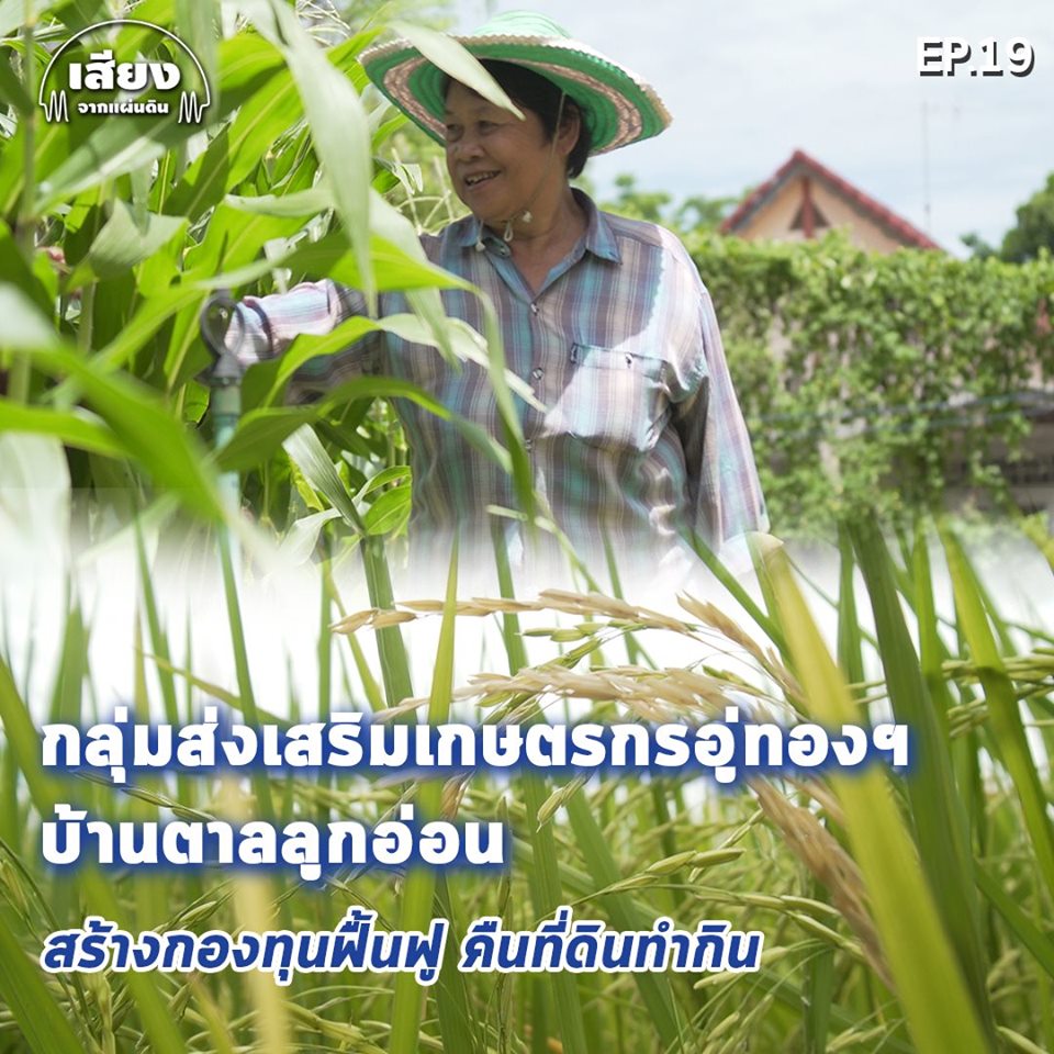 สารคดีเสียงจากแผ่นดิน#5-EP.19 : ถอดบทเรียน “กลุ่มส่งเสริมเกษตรกรอู่ทองฯบ้านตาลลูกอ่อน” ต.เจดีย์ อ.อู่ทอง จ.สุพรรณบุรี