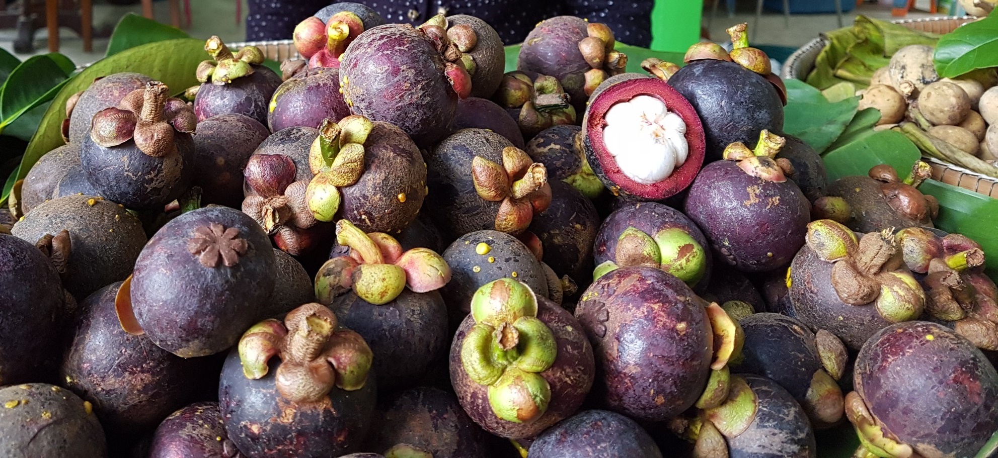 มกอช.หนุนเกษตรกร ยกระดับการผลิตสู่เทคนิคการทำตลาด DGT FARM