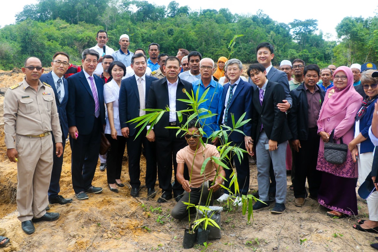 3 จังหวัดชายแดนภาคใต้ปลูกไผ่ 300,000 ไร่ ส่ง รง.ไฟฟ้าชีวมวลเกาหลี
