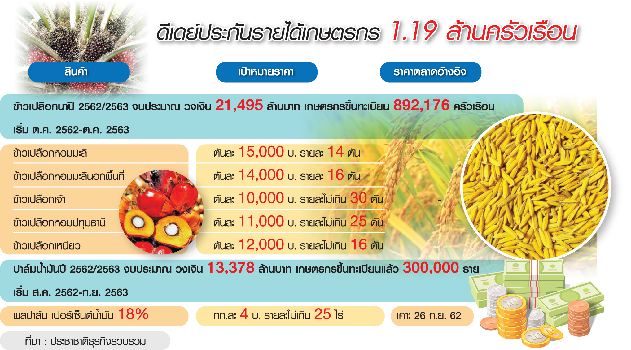 ดีเดย์1ต.ค.ประกันรายได้ปาล์ม ชาวสวนลุ้นราคาอ้างอิงต่ำกว่า4บ.มีเฮ