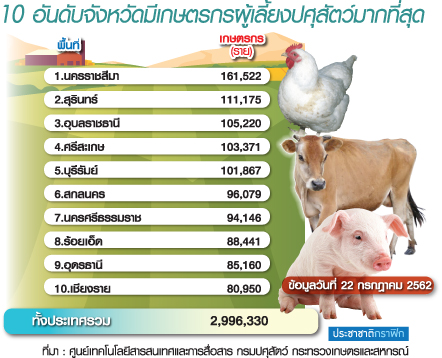 ไทยมีผู้เลี้ยงปศุสัตว์เฉียด 3 ล้านราย โคราชแชมป์เลี้ยงไก่ 37 ล้านตัว โคเนื้อ 3 แสนตัว
