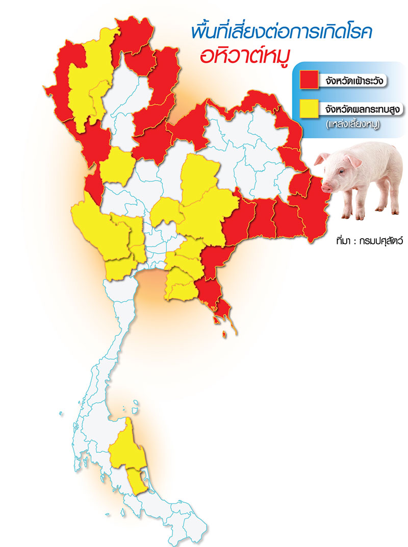 อลหม่าน แก้อหิวาต์หมู รัฐปล่อยเกาะ-บีบเอกชนลงขันสู้