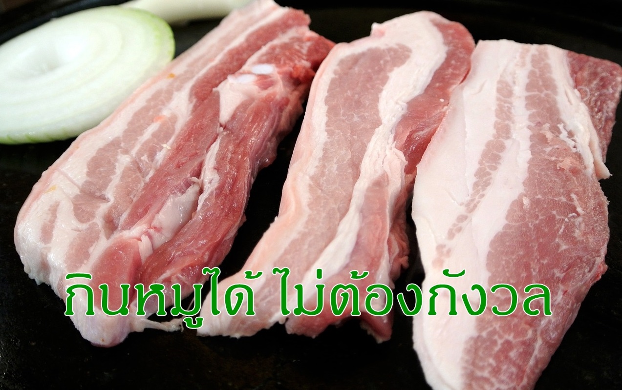 กินหมูได้ไม่ต้องกังวล กรมควบคุมโรคยืนยัน “อหิวาต์สุกร” ไม่ติดต่อสู่คน