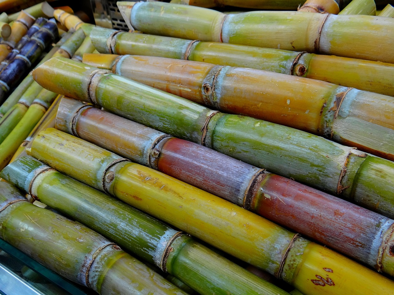 กฤษฎีกาตีกลับพ.ร.บ.อ้อย จี้ปรับนิยาม “น้ำอ้อย” ใหม่