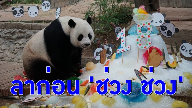ช่วงช่วง-ตาย