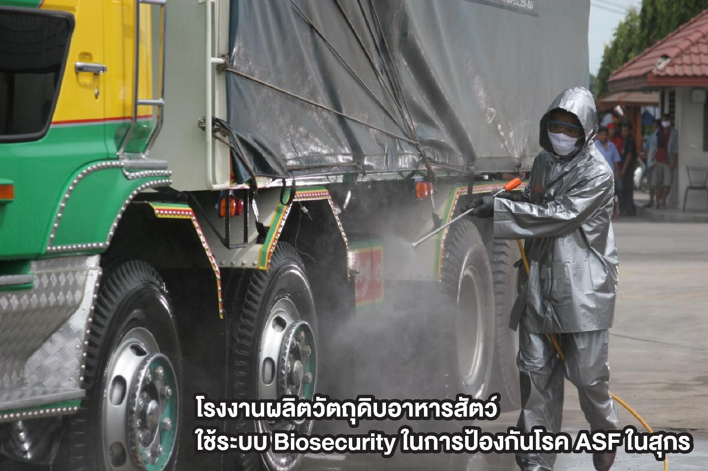 จับตาดู “Biosecurity” มาตรการเด็ด หลังไทยประกาศพื้นที่เฝ้าระวัง ASF ในสุกร