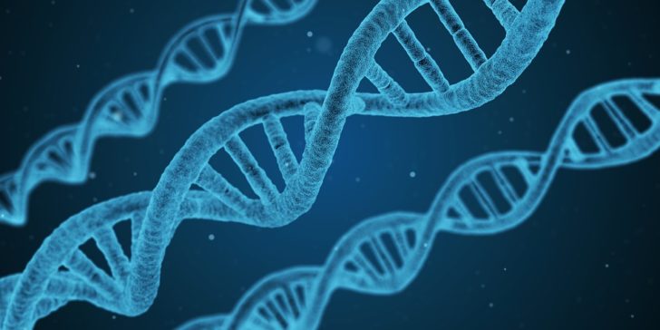 dna-1811955_960_720 การตรวจยีน ไม่ได้ตอบทุกโจทย์ตามโฆษณา แพทย์ค้าน…ไม่แนะนำให้ทำ