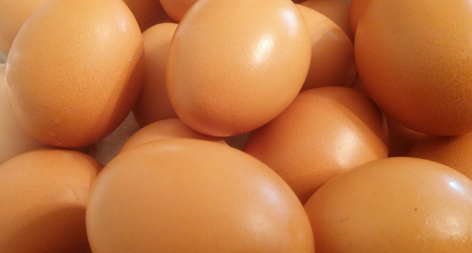 ครม.ไฟเขียว ยกระดับฟาร์มไก่ไข่ เพิ่มขีดการแข่งขันในตลาดต่างประเทศ