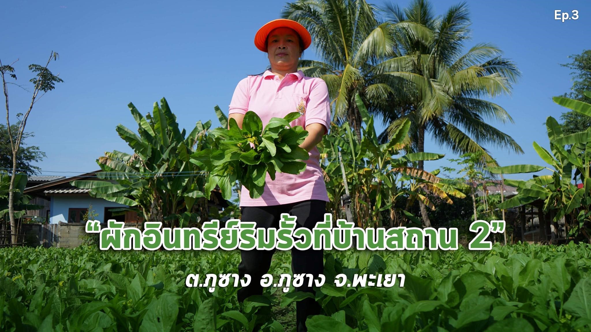 สารคดีเสียงจากแผ่นดิน #6 – EP.3 ตอน : ชุมชนบ้านสถาน 2 หมู่บ้านนี้สุขภาพดีทั้งชุมชน