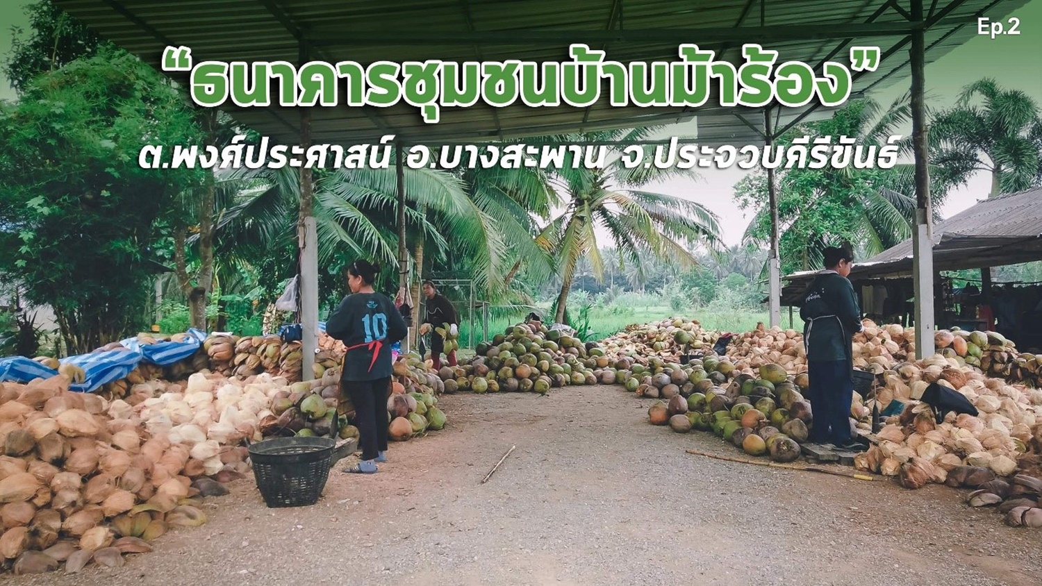 สารคดีเสียงจากแผ่นดิน#6 – EP.2 ตอน : “ธนาคารชุมชนบ้านม้าร้อง”