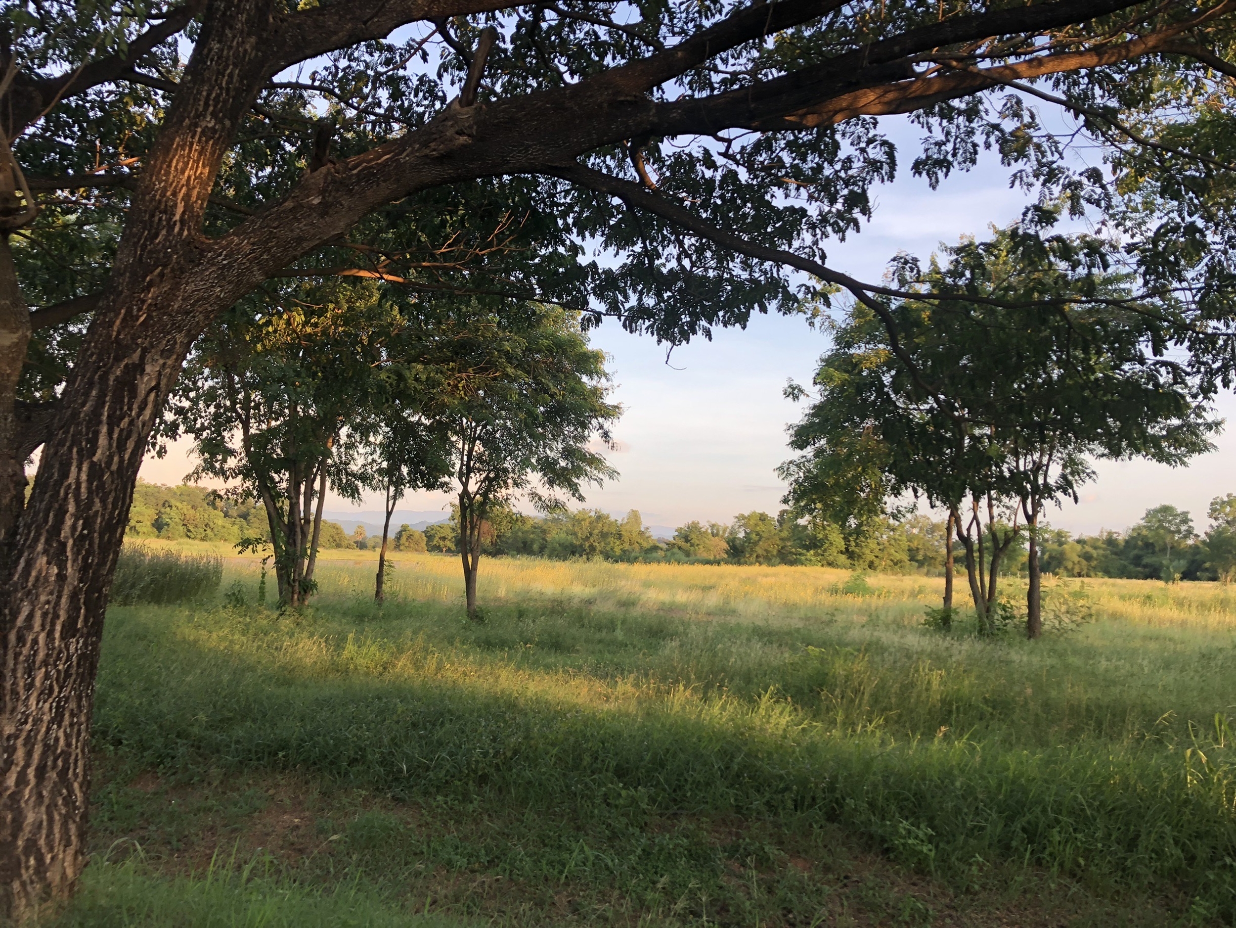 เอกชนใหญ่หารือจุฬาฯ ร่วมพัฒนาพื้นที่สระบุรี 5 พันไร่ สร้างนวัตกรรมเกษตร