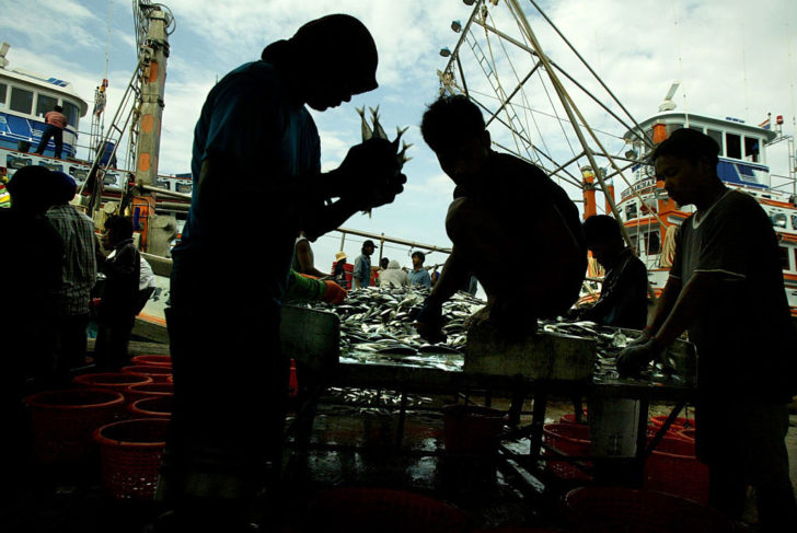 Fishermen unload their catch at the Phuket Pier in Thailand in the morning. Peop