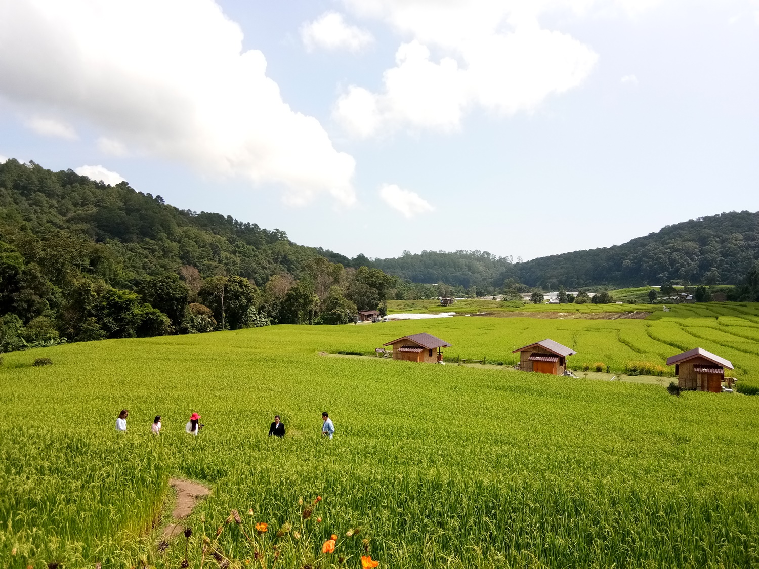 สถานการณ์ท่องเที่ยวเชียงใหม่ 9 เดือนซึม คนไทยแห่เที่ยวตปท.-โหมอีเว้นท์กระตุ้น