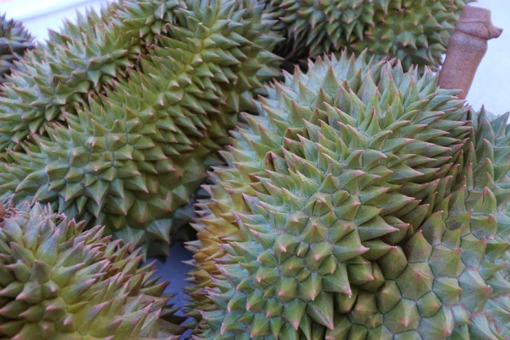 durian-3991188_960_720