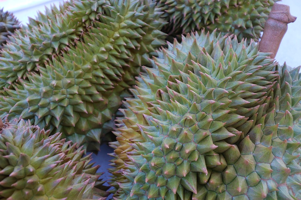 ธุรกิจส่งออกทุเรียนไทยโตสวนกระแสสงครามการค้า
