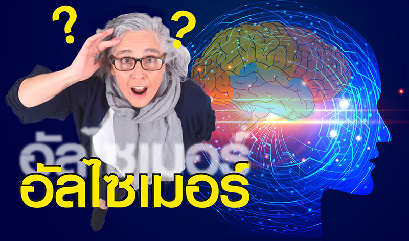 “บ้านวิชากร”รุกตลาดผู้สูงวัย เปิดหลักสูตรชะลออัลไซเมอร์ยืดอายุสมอง
