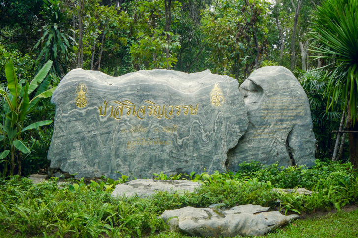 ป่าสิริเจริญวรรษ อพท.นำเสนอ 3 เส้นทางท่องเที่ยวโดยชุมชนพื้นที่พัทยาโชว์สมาชิก “พาต้า” หวังพลิกภาพลักษณ์ใหม่เมืองพัทยา