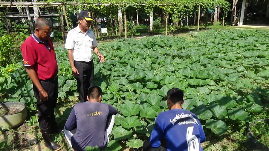 “ตรัง”ฝึกอาชีพป้อนตลาดแรงงานหนุนเกษตรปลอดสารพิษ