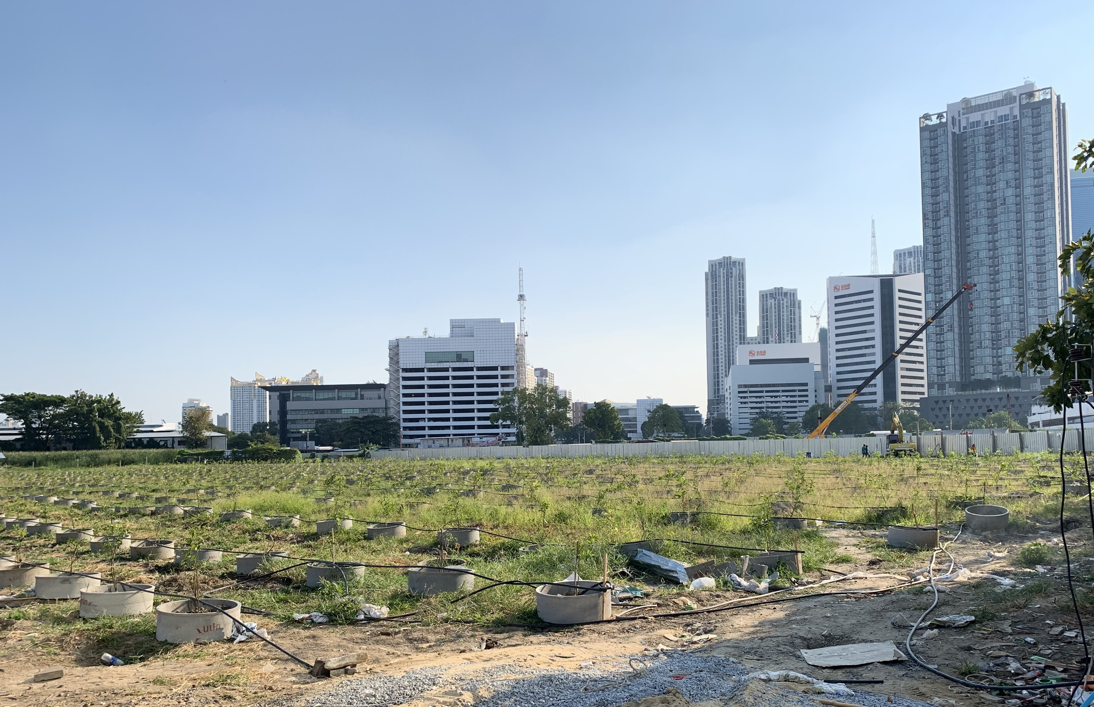 บี้ภาษีที่ดิน 32 ล้านโฉนด ตะลึงพลิกที่หมื่นล้านปลูกมะนาว