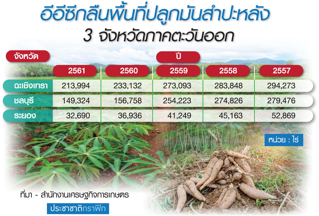 “อีอีซี”รุกกลืนธุรกิจมันสำปะหลัง ราคาที่ดินพุ่งลานมัน-โรงแป้งแห่ขายทิ้ง