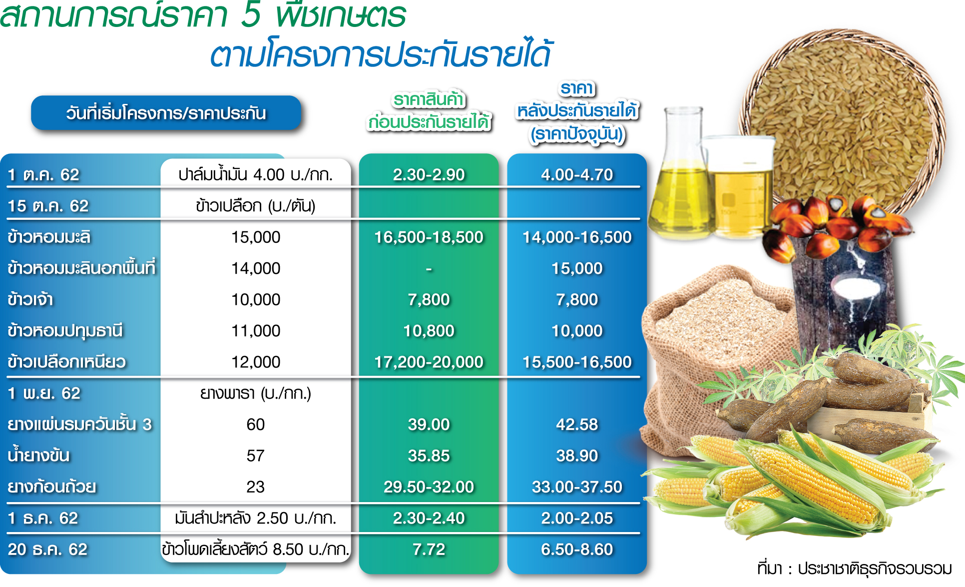 TDRI จี้รัฐทบทวนประกันรายได้ ปิดช่องพ่อค้ากดราคาพืชเกษตร