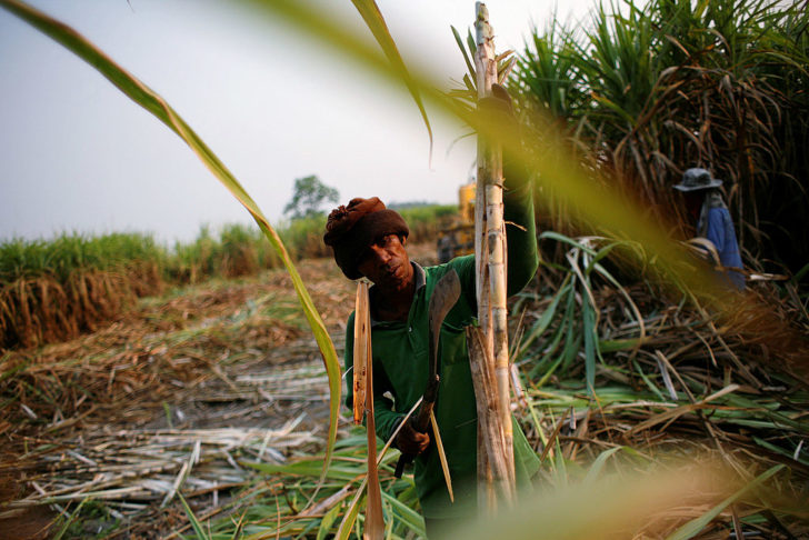Visit To A Thai Sugar Mill