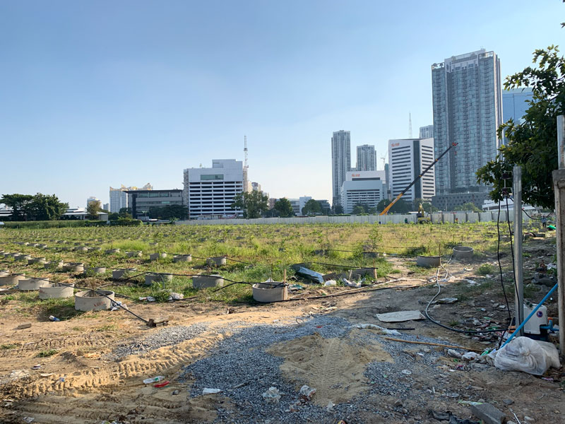 เปิดสตอรี่ “มะนาวรัชดา” ราคาแพงที่สุดในโลก